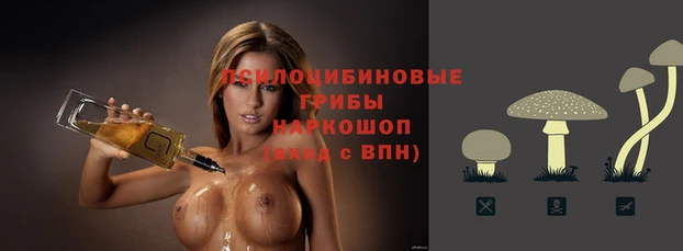 мяу мяу мука Белокуриха