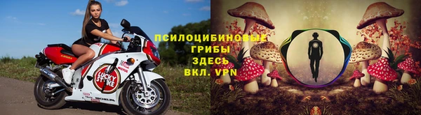 индика Алексеевка